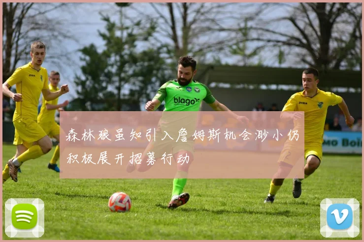 森林狼虽知引入詹姆斯机会渺小仍积极展开招募行动