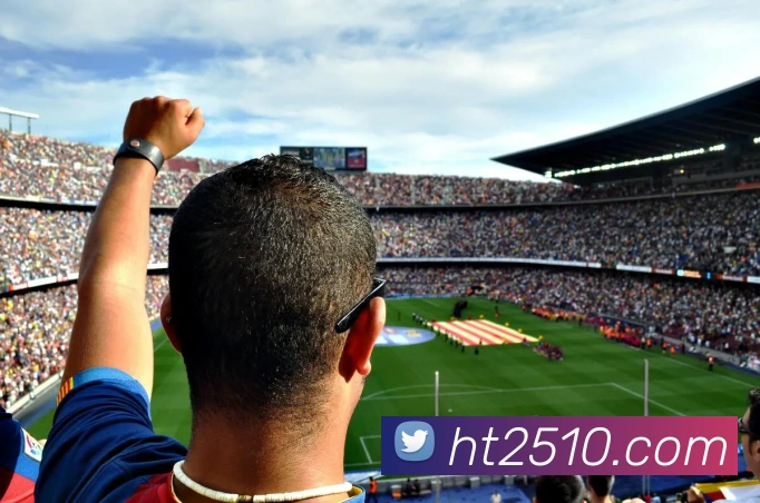 多媒体互动体验